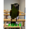 images20250522140719.jpeg